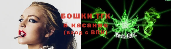соль ск Касимов