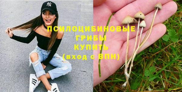 соль ск Касимов