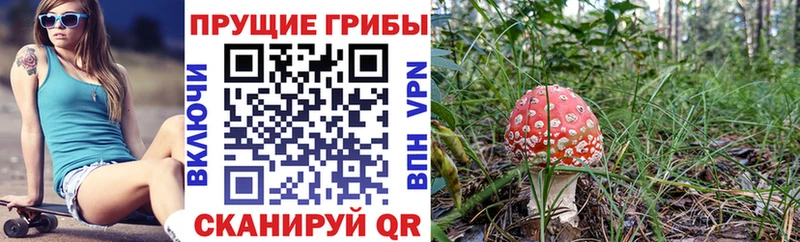 Псилоцибиновые грибы прущие грибы Купить где Новоаннинский